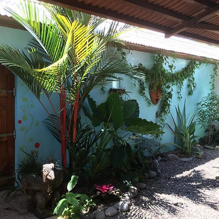 Sueno Grande B&B Puerto Viejo de Talamanca Exterior foto